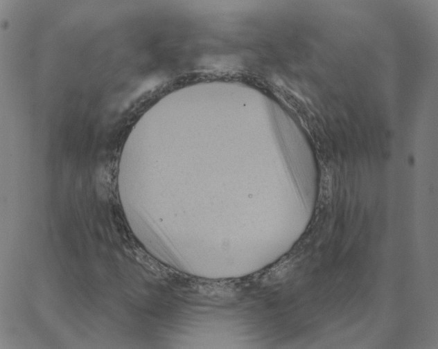 X0000088381254200706191259