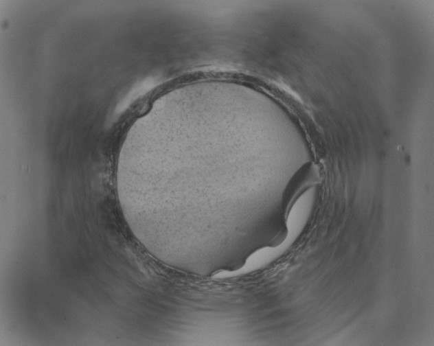 X0000088381255200706191259