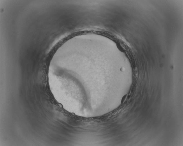 X0000088381256200706191259