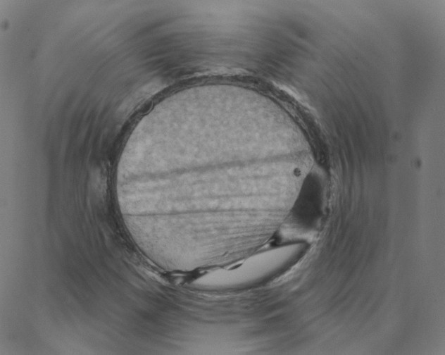 X0000088381257200706191259