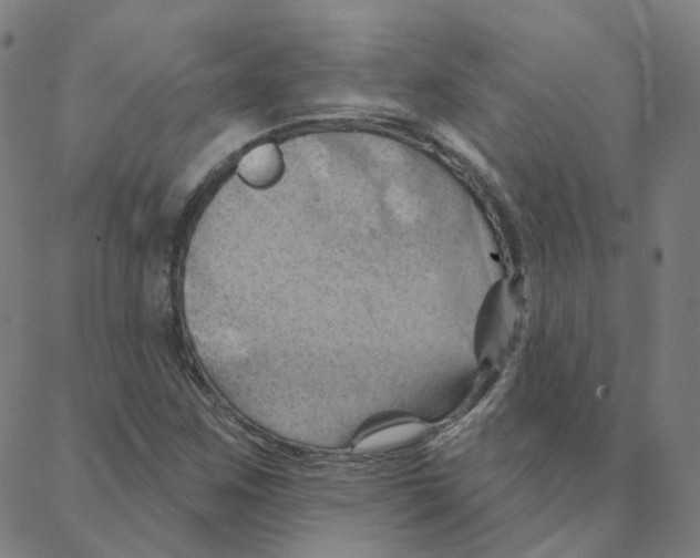 X0000088381259200706191259