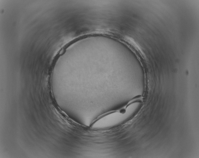 X0000088381260200706191259