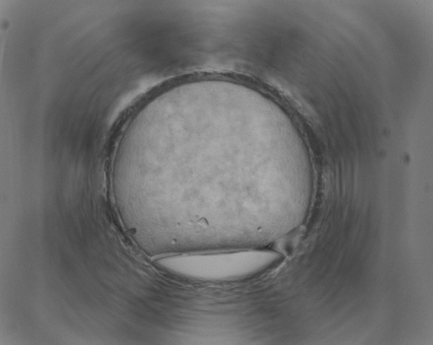 X0000088381262200706191259