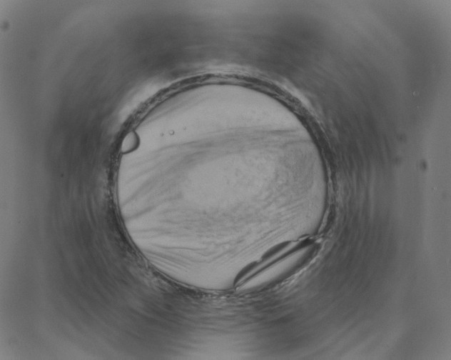 X0000088381263200706191259