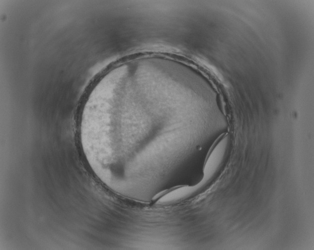 X0000088381264200706191259