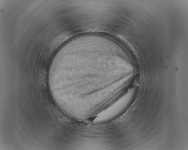 X0000088381265200706191259