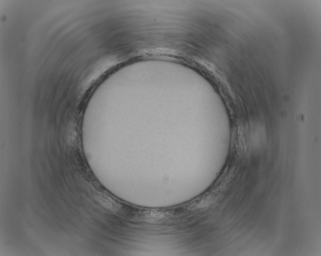 X0000088381266200706191259