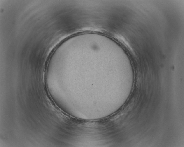 X0000088381268200706191259