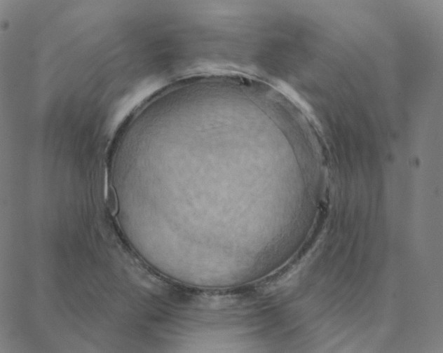 X0000088381269200706191259