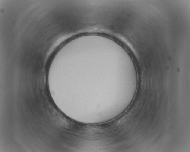 X0000088381270200706191259