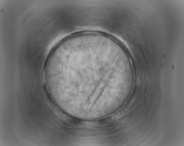 X0000088381271200706191259