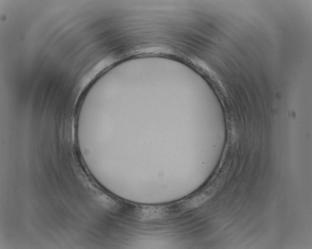 X0000088381274200706191259