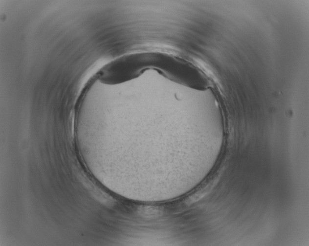 X0000088381275200706191259