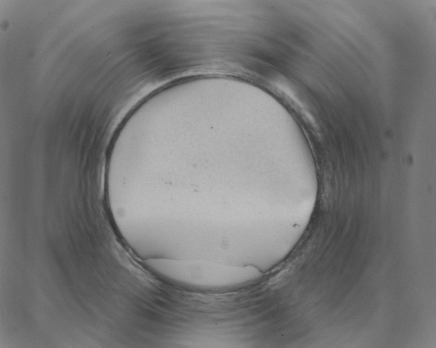 X0000088381276200706191259