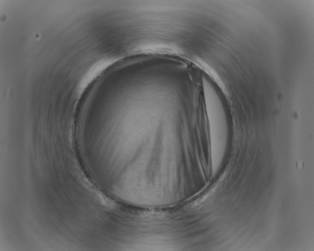 X0000088381277200706191259