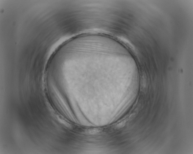 X0000088381278200706191259