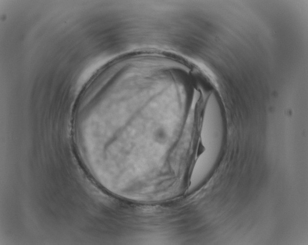 X0000088381279200706191259