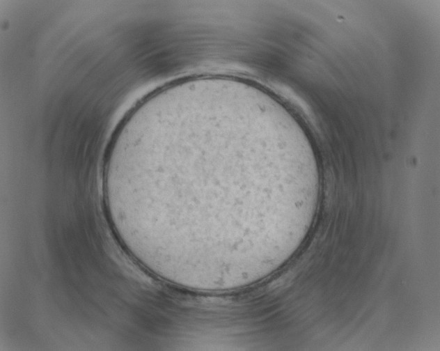 X0000088381280200706191259