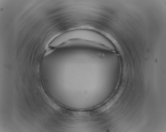 X0000088381281200706191259