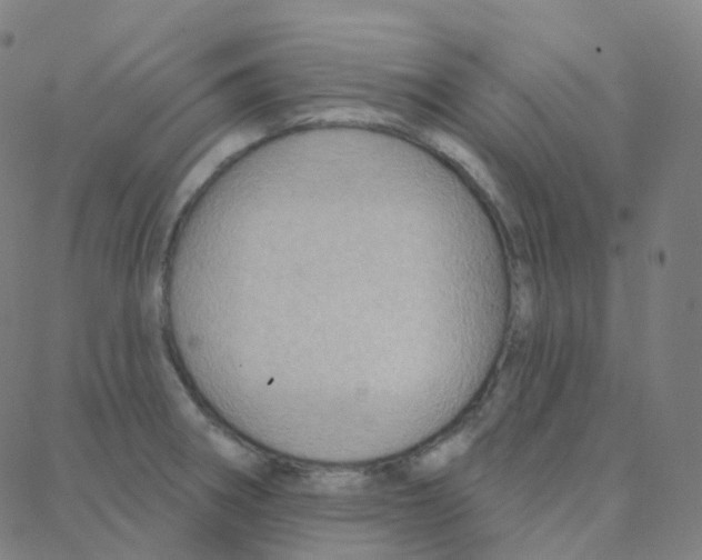 X0000088381282200706191259