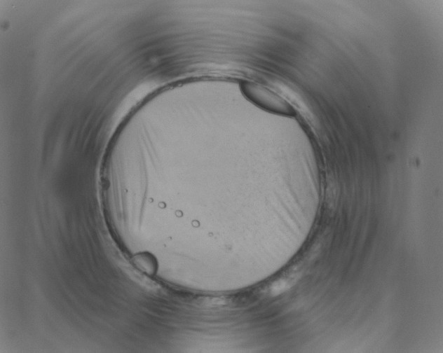 X0000088381283200706191259