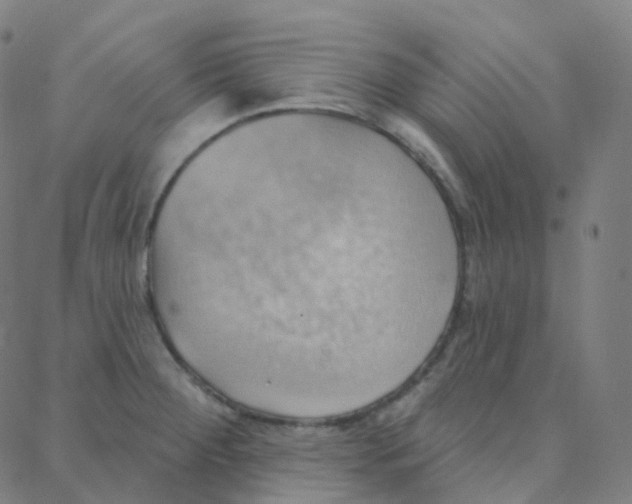 X0000088381284200706191259