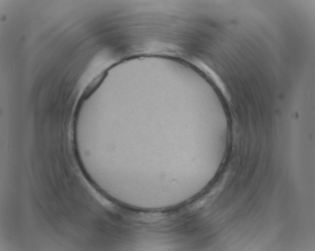 X0000088381285200706191259