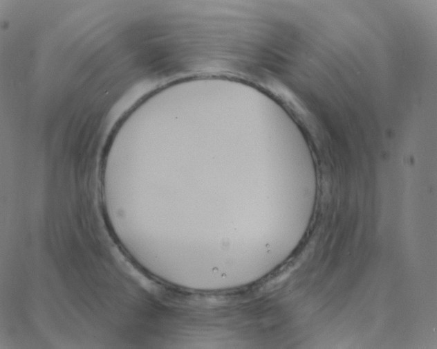 X0000088381286200706191259