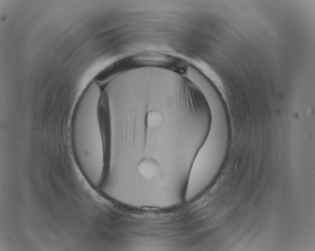 X0000088381287200706191259