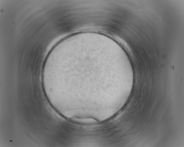 X0000088381288200706191259