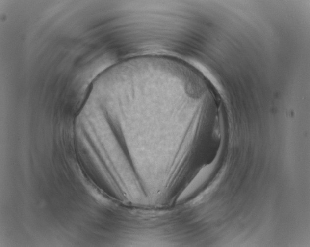 X0000088381289200706191259