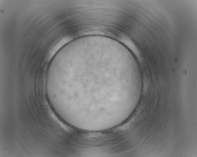 X0000088381290200706191258