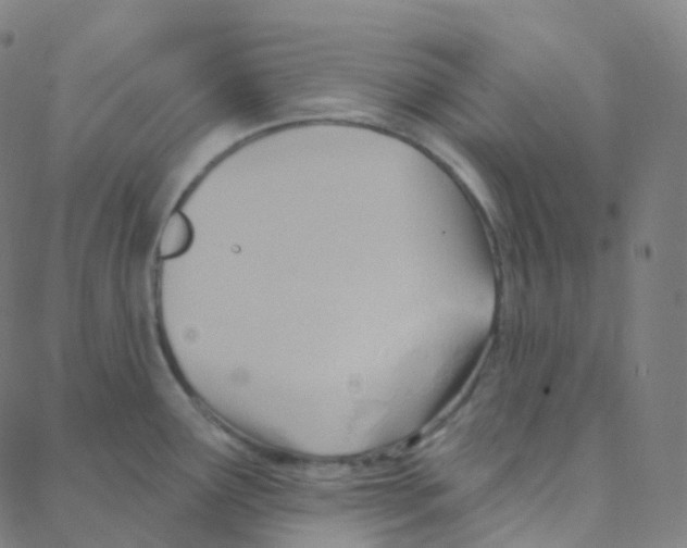 X0000088381291200706191258