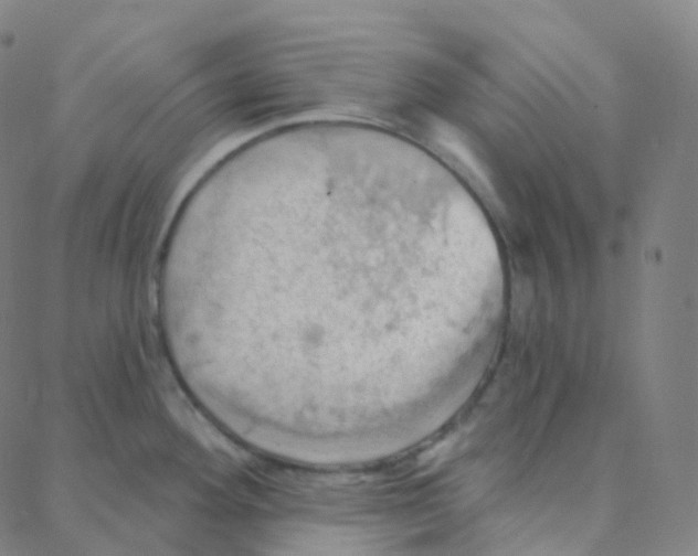 X0000088381292200706191258