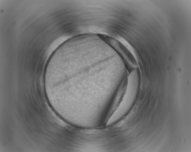 X0000088381293200706191258