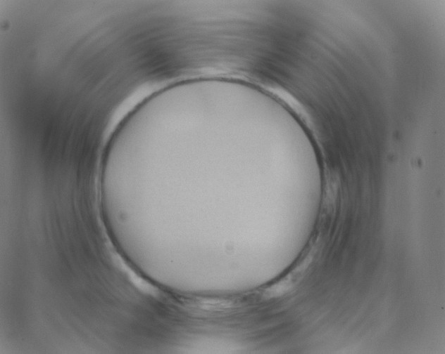 X0000088381294200706191258