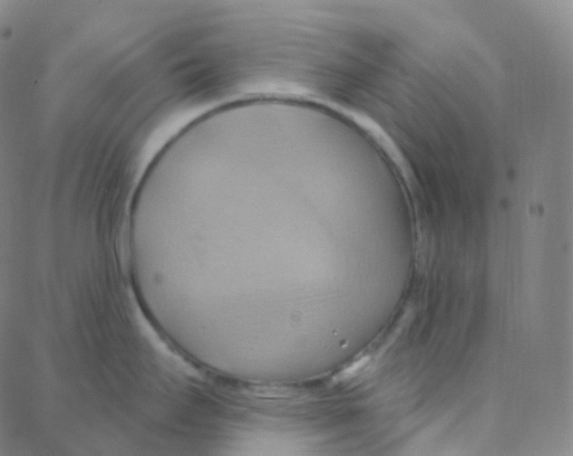 X0000088381295200706191258