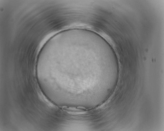 X0000088381296200706191258