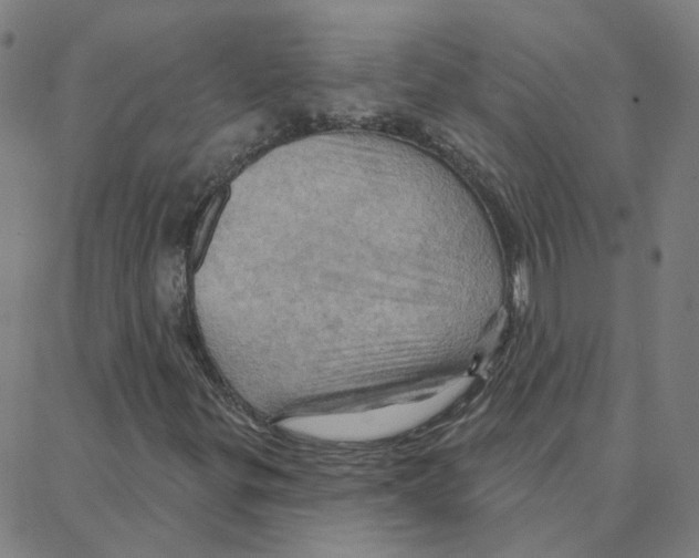 X0000088381299200706191258