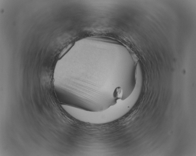 X0000088381300200706191258