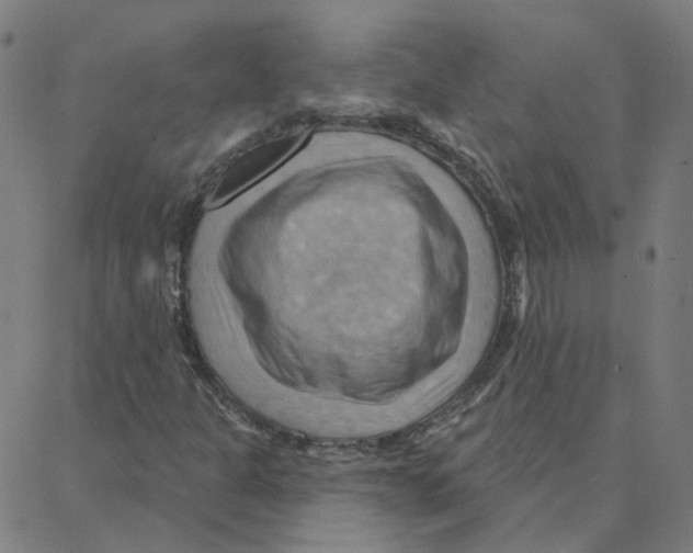 X0000088381301200706191258