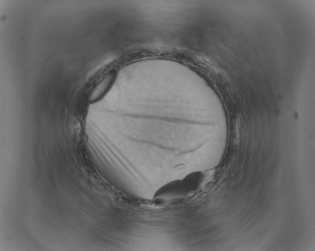 X0000088381302200706191258