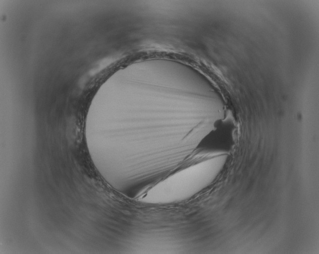 X0000088381303200706191258