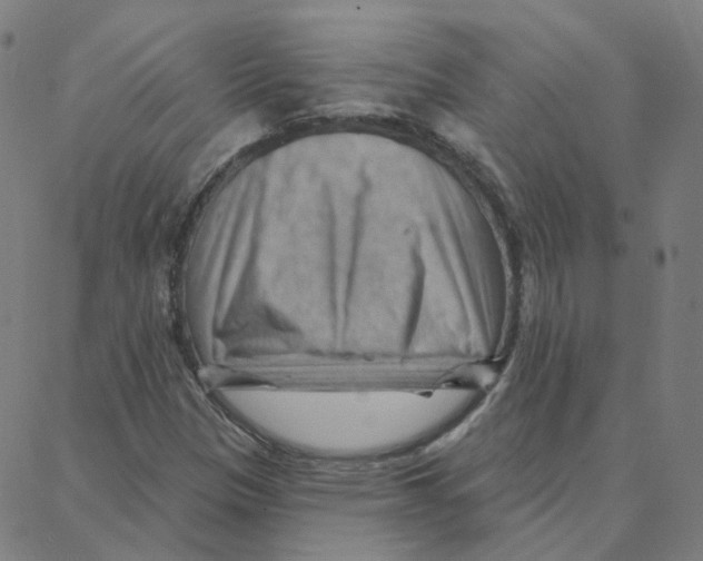 X0000088381305200706191258