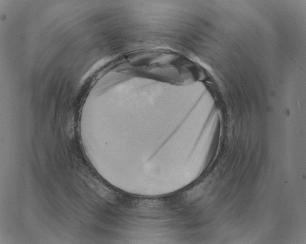 X0000088381306200706191258