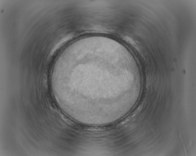 X0000088381307200706191258