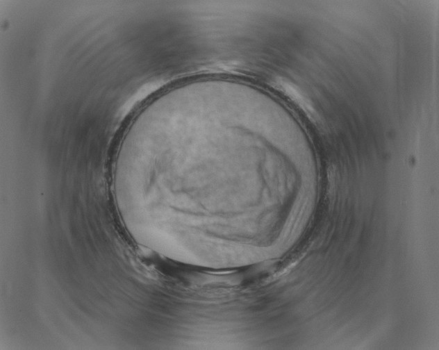 X0000088381308200706191258