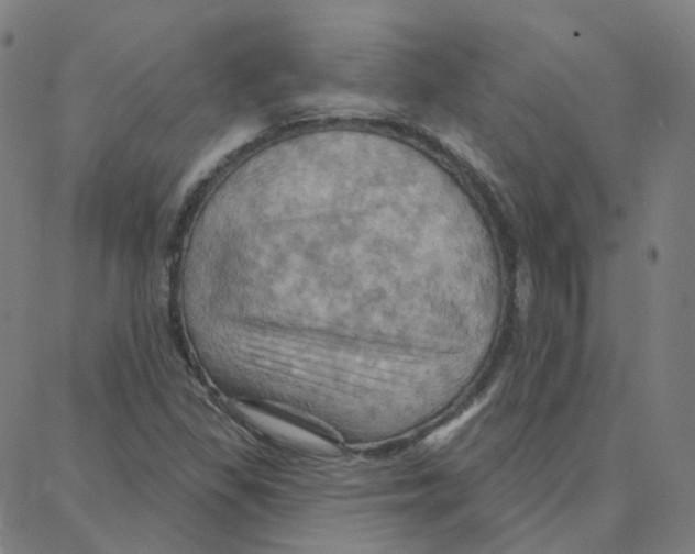 X0000088381309200706191258