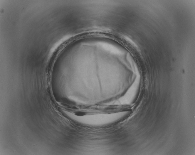 X0000088381310200706191258