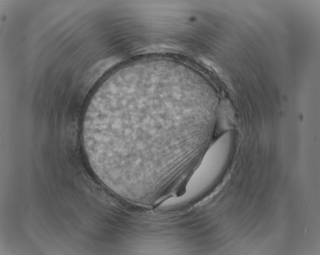 X0000088381313200706191258